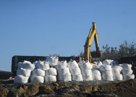 1629437303957274.png image.png