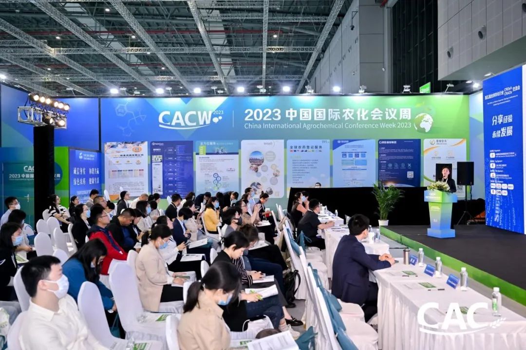 1709711056632978.jpg 640 (5).jpg